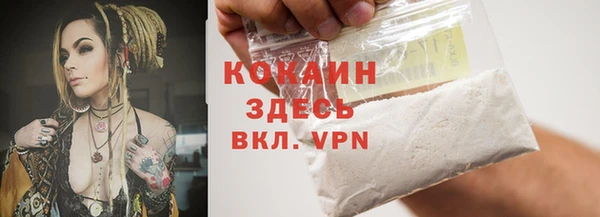 гидра Белоозёрский