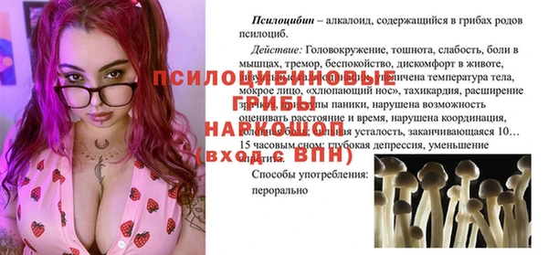 спиды Беломорск