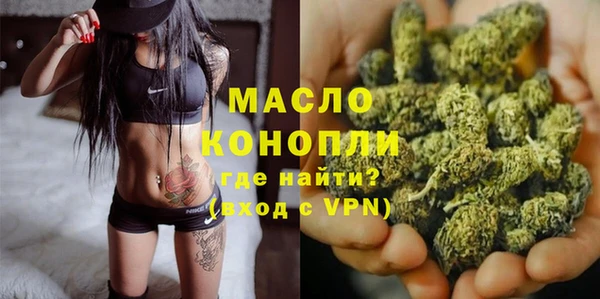 сатива Новокубанск