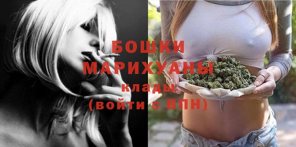 гидра Белоозёрский