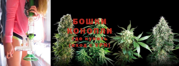 прущий лед Белокуриха