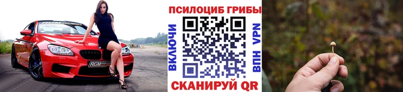 магазин    Верхний Тагил  MEGA как войти  Галлюциногенные грибы MAGIC MUSHROOMS 