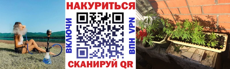 Бошки марихуана OG Kush  Верхний Тагил 